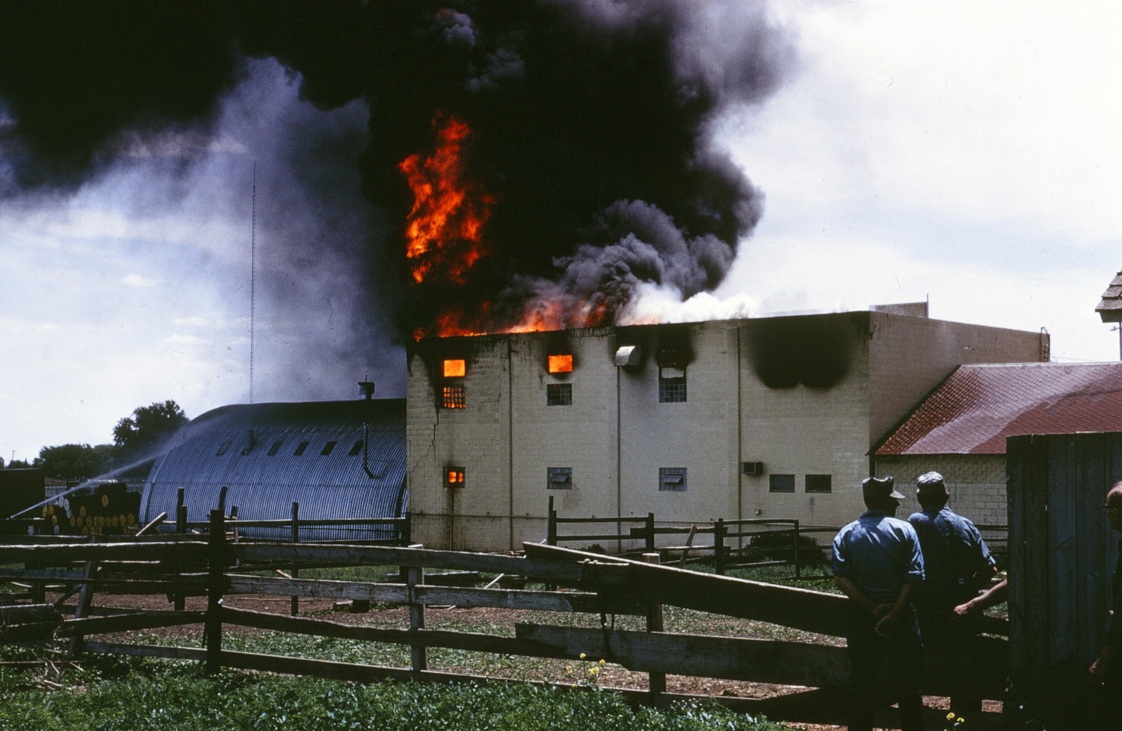 1964